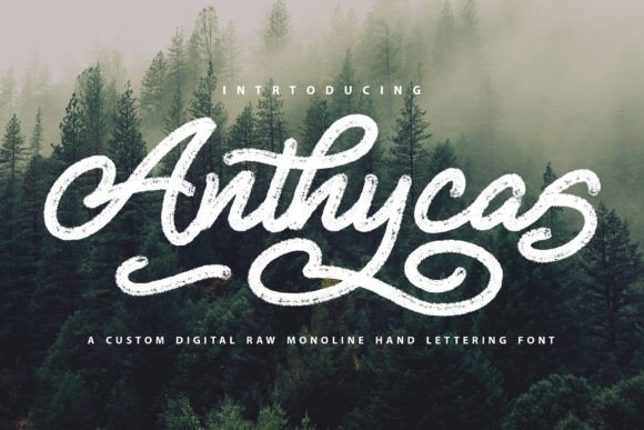 Anthycas: A Graceful Script for Branding