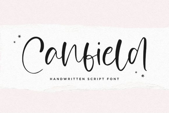 Canfiled: A Delicate Script Font