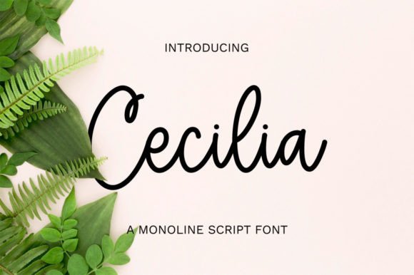 Cecilia: A Graceful Script Font