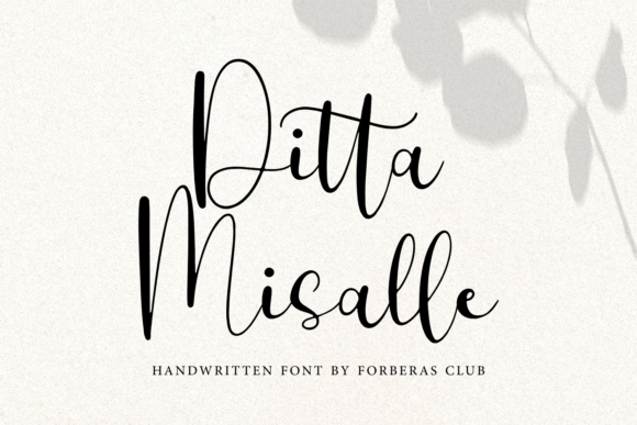 Ditta Misalle: A Flowing Script for Creative Projects