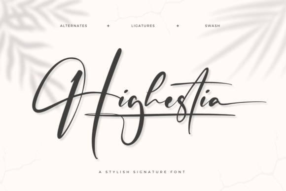 Highestia: A Handwritten Font That Makes Your Campaign Feel Human
